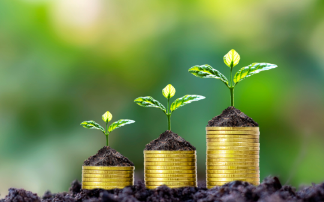 Climate Friendly Employment Contracts